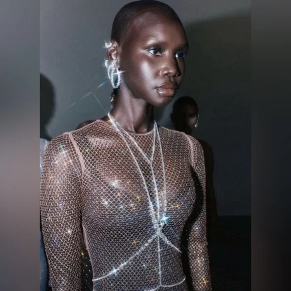 Skims x Swarovski Dress nib - Picture 2 of 3